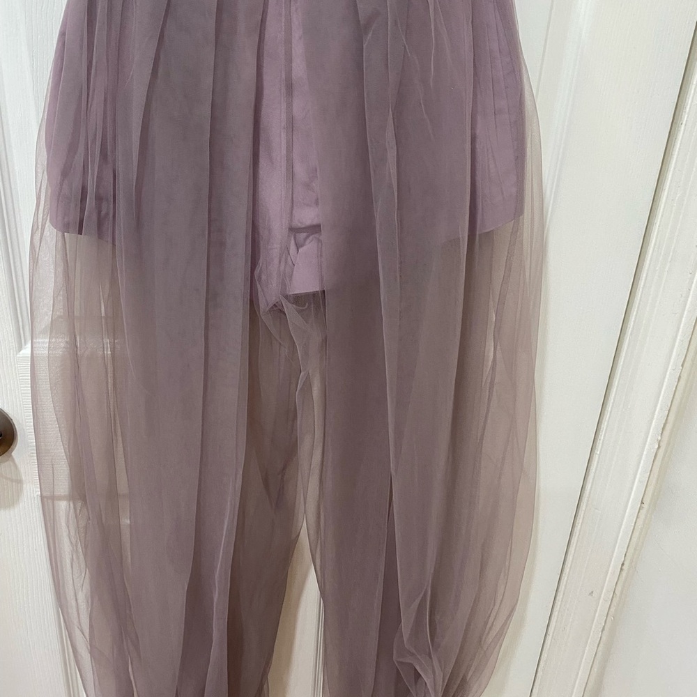 Sheer Purple Tulle Pants- shorts lining!